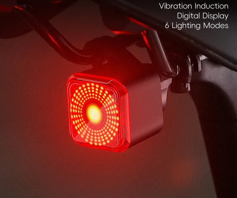 Intelligent Brake Sensing Tail Light Beargoods