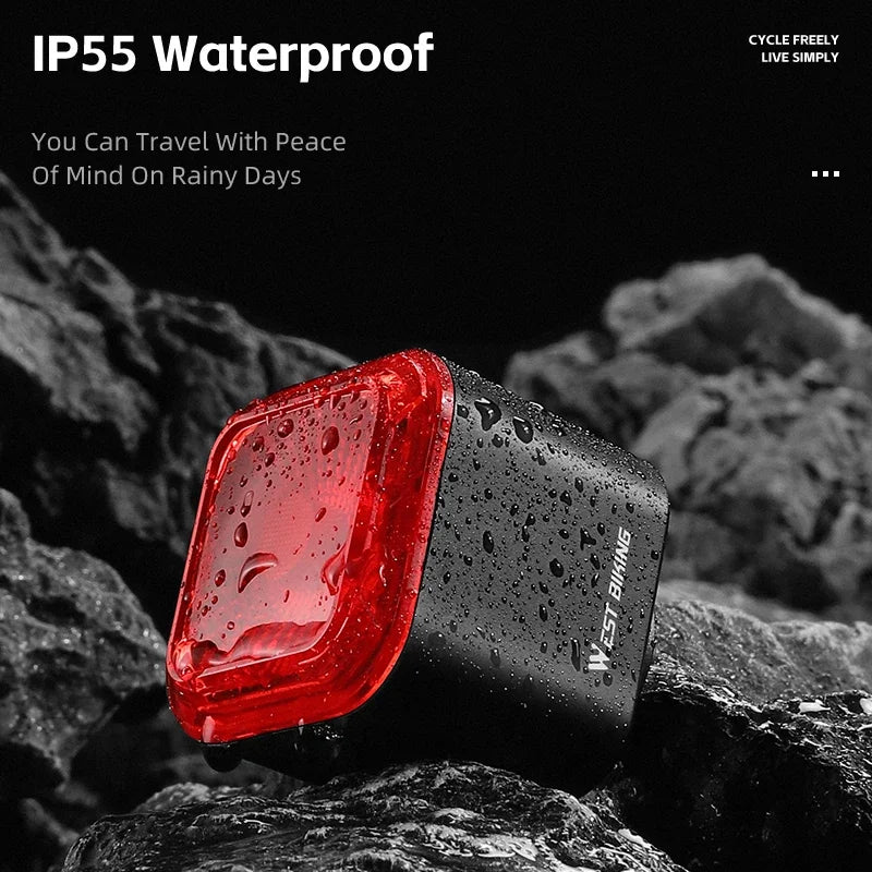 Intelligent Brake Sensing Tail Light Beargoods