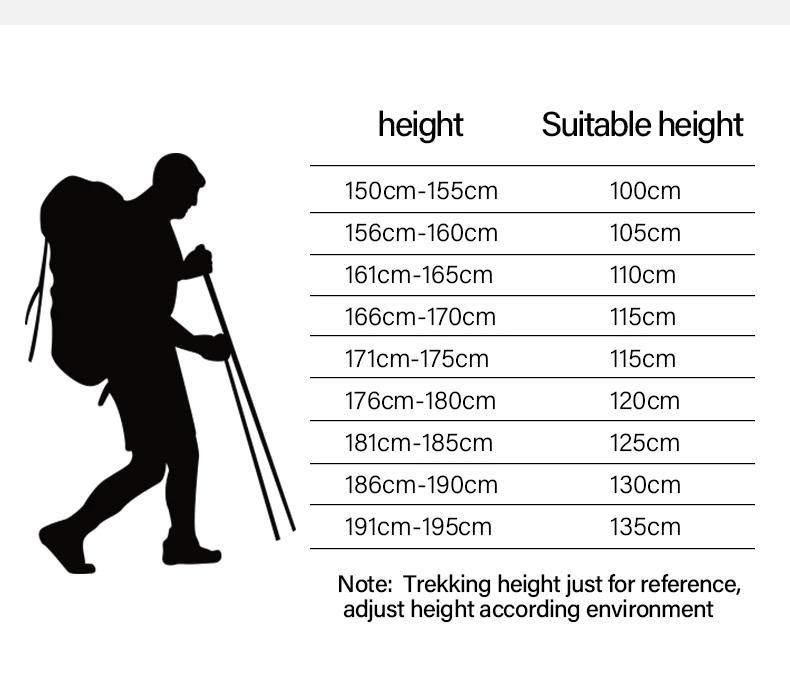 2 Piece Ultralight Trekking Poles Foldable - Beargoods 2 Piece Ultralight Trekking Poles Foldable Beargoods.co.uk 34.99 Beargoods