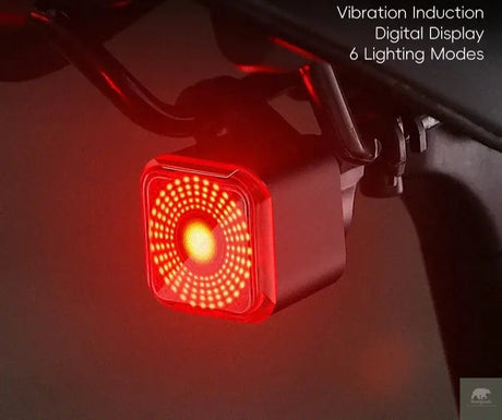 Intelligent Brake Sensing Tail Light Beargoods